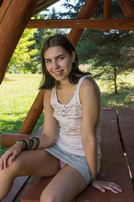 Picnic Table